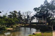 梁厝村7