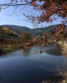 九峰村5