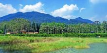 福州国家森林公园珍稀植物园5