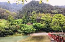 福州国家森林公园珍稀植物园4