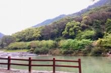 福州国家森林公园珍稀植物园3