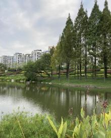 闽江公园3