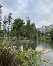 闽江公园4