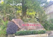 桐木关自然保护区1