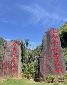 桐木关自然保护区2