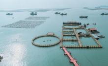 定海湾山海运动小镇1