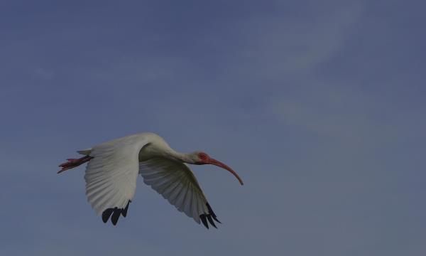 中国长乐海蚌公园8