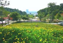长乐南山公园6