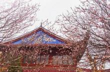 林阳寺13