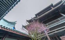 林阳寺1