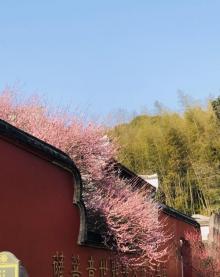 林阳寺15