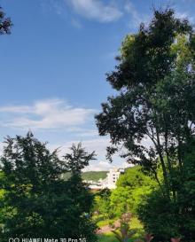 七星公园11