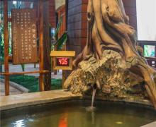 贵安世纪金源温泉世界8