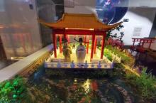 国潮金鱼博物馆22