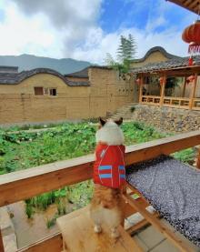 龙潭里村4