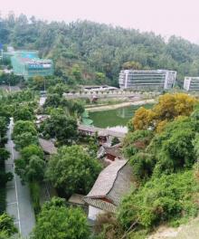 福山郊野公园10