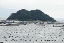 馒头山5