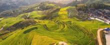 念山云上梯田景区4