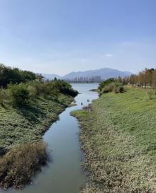 沙滩公园14