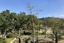 沙滩公园12
