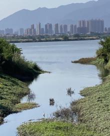 沙滩公园13