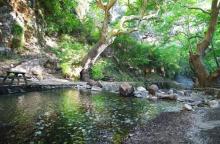 南T山公园1