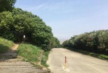 九龙山旅游度假区14