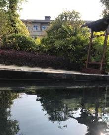凤翔首邑温泉8