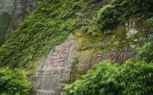 云窝3