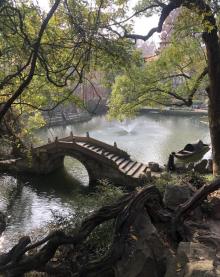 绮园景区14
