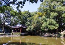 绮园景区20