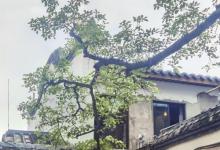 衣锦坊8