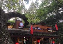 武夷山博物馆3