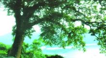 石竹山风景区19