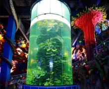 永泰欧乐堡海洋世界3