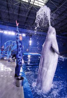 永泰欧乐堡海洋世界30