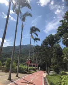 福州国家森林公园6