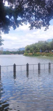 西湖公园13