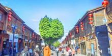 南后街1