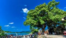 龙泉山旅游区25