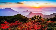 龙泉山旅游区2