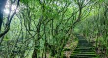 龙泉山旅游区3