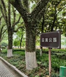云浦公园2