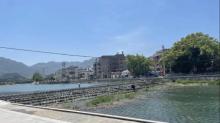 杨川公园1