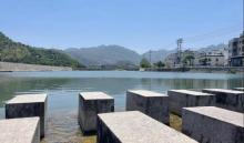 杨川公园3