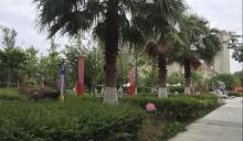 街心公园3