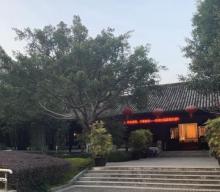 叶同仁中医药博物馆5