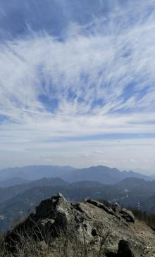金鸡山14