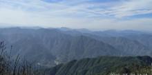金鸡山16