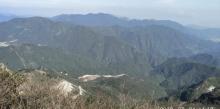金鸡山11